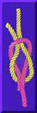 reef_square.jpg (6137 bytes)